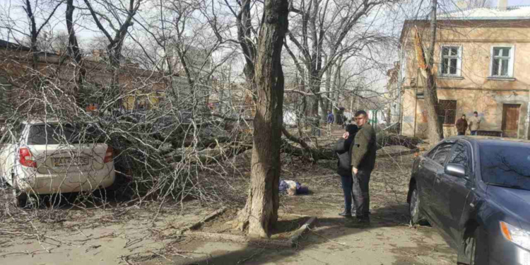 В Одессе на женщину упало дерево – она погибла (ФОТО, ВИДЕО)