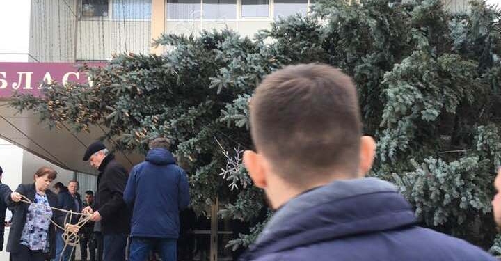 В Николаеве перед областным ДК повалило ели (ФОТО)