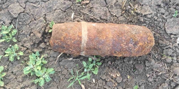 В николаевском мкр. «Ялты» женщина нашла артснаряд (ФОТО)