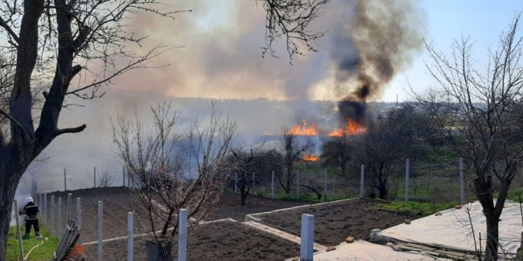 Снова поджог: в Николаеве сгорело 2 га камыша (ФОТО)