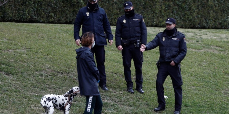 Коронавирус в Испании: мэр одного из городков запретил собачникам удаляться от дома дальше, чем на 250 метров