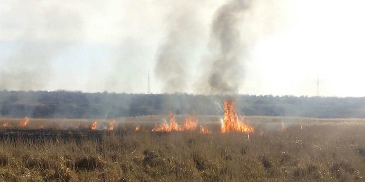 За сутки на Николаевщине выгорело 18 га открытых территорий (ФОТО)