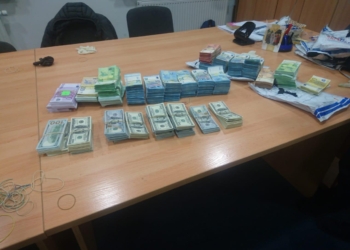 Подарок к 8 марта вез? Украинец пытался ввезти 0,5 млн.евро и 240 тыс.долларов (ФОТО, ВИДЕО)