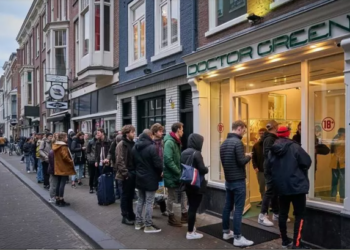 В Нидерландах из-за карантина местные скупают марихуану