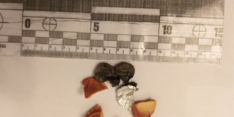 Не оскудела фантазия: в Николаевский СИЗО пытались передать наркотики в косточке от кураги (ФОТО)