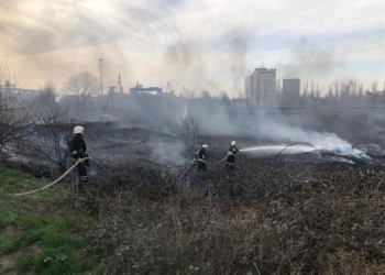 Вчера подразделения спасателей потушили 4 пожара сухой травы, мусора и камыша на общей площади 5,5 га (ФОТО)