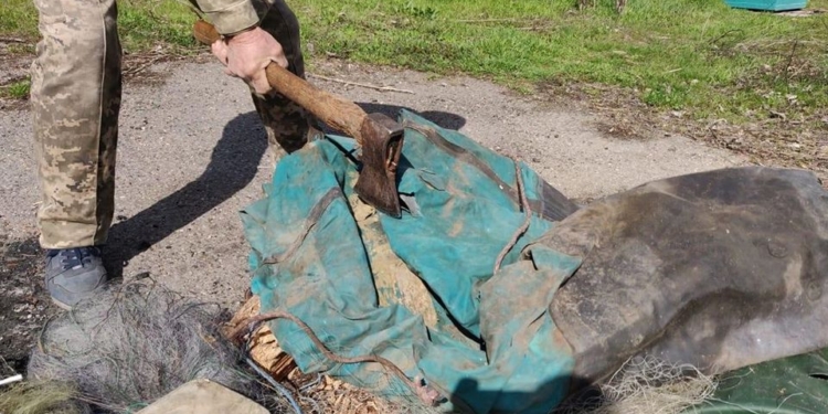 Николаевский рыбоохранный патруль уничтожил почти 20 км браконьерских сетей (ФОТО)