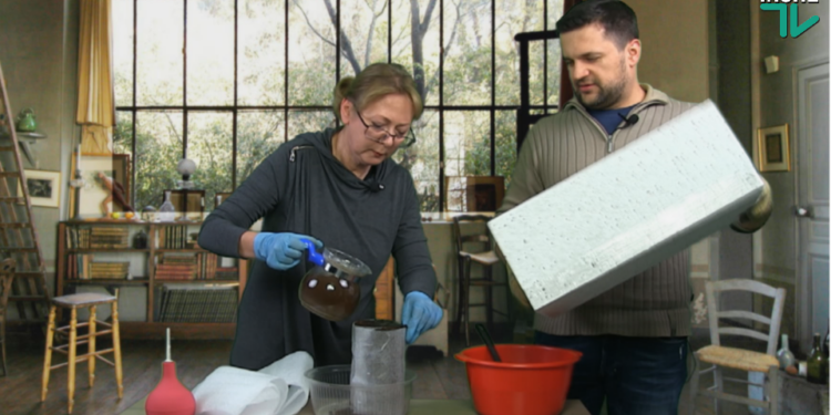 Рассада в “улитках”. Делай с нами (ВИДЕО)