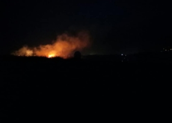 В Николаеве снова подожгли камыши – пылает в Ракетном Урочище и на Аляудах (ФОТО, ВИДЕО)