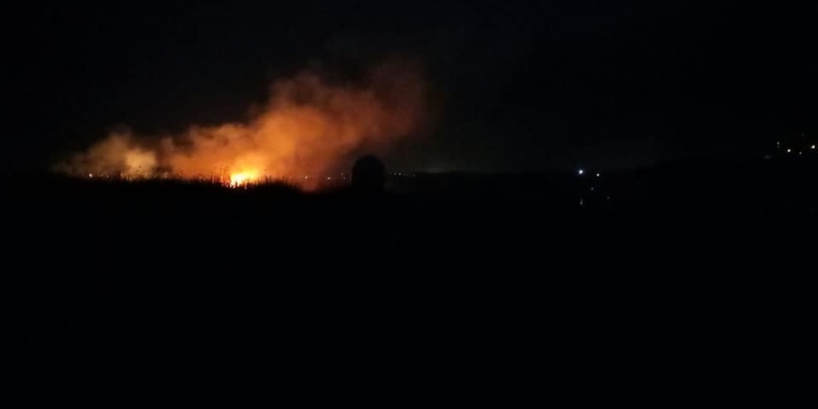 В Николаеве снова подожгли камыши – пылает в Ракетном Урочище и на Аляудах (ФОТО, ВИДЕО)