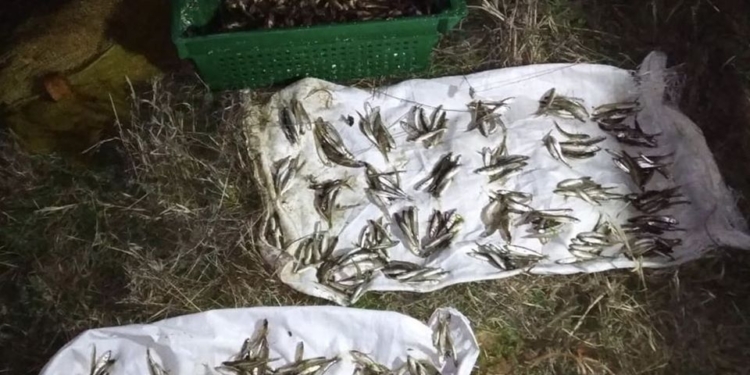 Николаевский рыбоохранный патруль поймал на Днепро-Бугском лимане двух браконьеров (ФОТО)