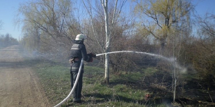 Опять поджоги: на Николаевщине горели камыш, сухая трава и хвойная подстилка (ФОТО)