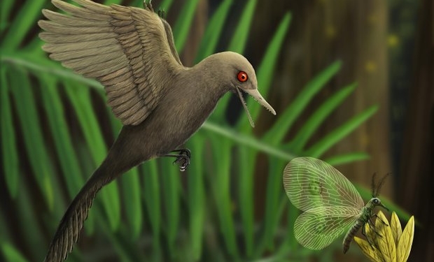 Найден самый маленький динозавр (ФОТО, ВИДЕО)