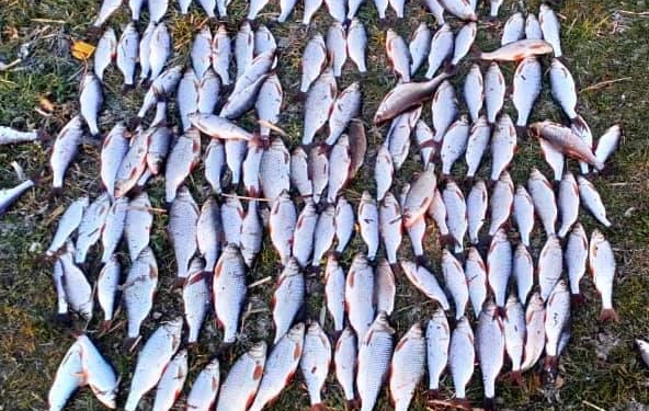 Николаевский рыбоохранный патруль поймал 5 браконьеров (ФОТО)