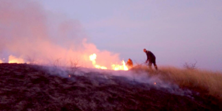За сутки на Николаевщине выгорело 10 га камыша и сухой травы (ФОТО)