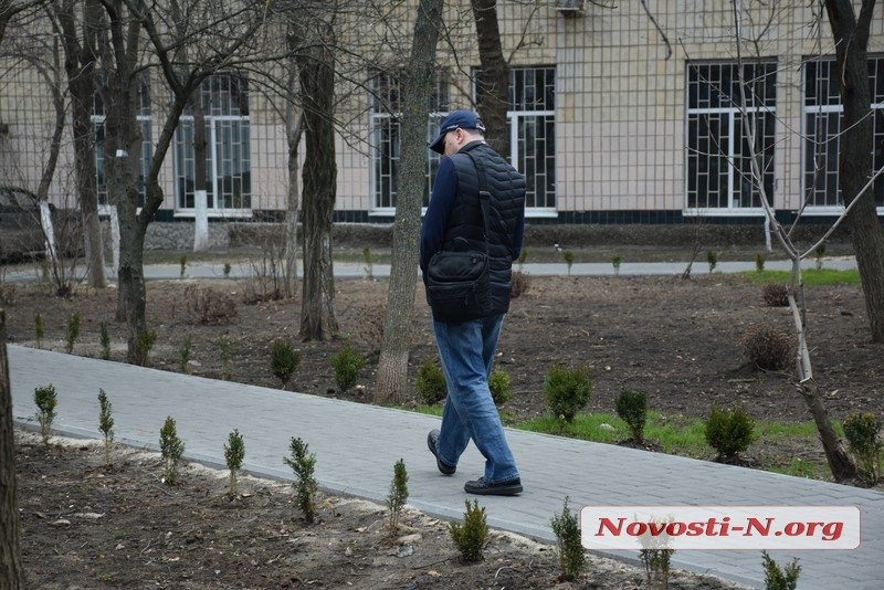 В Николаеве депутаты и активисты искали «потерявшиеся» при высадке 1000 кустов самшита (ФОТО) 5