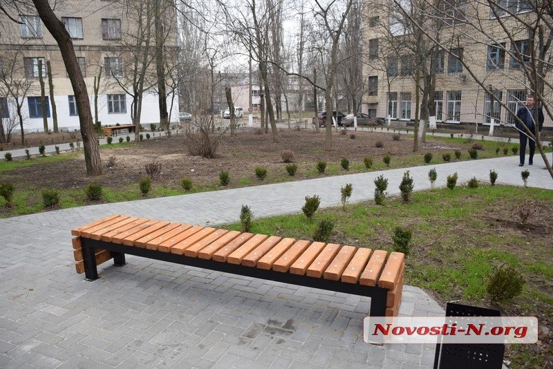В Николаеве депутаты и активисты искали «потерявшиеся» при высадке 1000 кустов самшита (ФОТО) 13