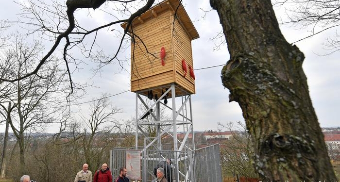 В Германии построили царь-скворечник для стрижей и летучих мышей