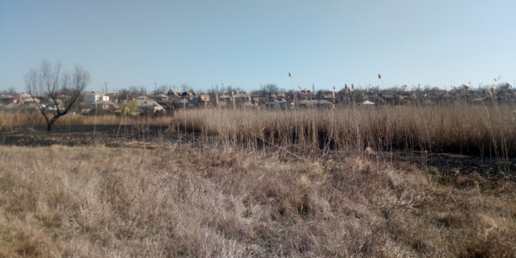 На Николаевщине пожарные потушили два пожара сухостоя общей площадью более 7 га