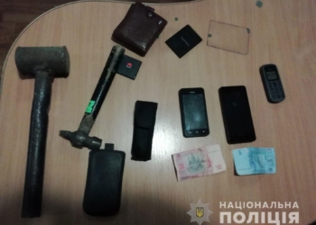 На Николаевщине пьяный мужчина с молотком отобрал у бывшей тещи 36 гривен и телефон