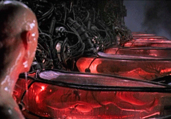 Добро пожаловать в Матрицу: Microsoft предлагает майнить криптовалюту энергией человеческого тела