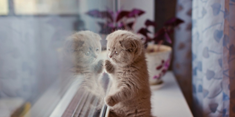 Сегодня в Украине без осадков, температура до +10