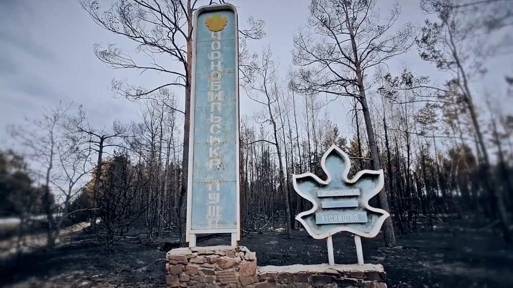 Опубликовано душераздирающие видео сгоревшего леса в Чернобыле 1