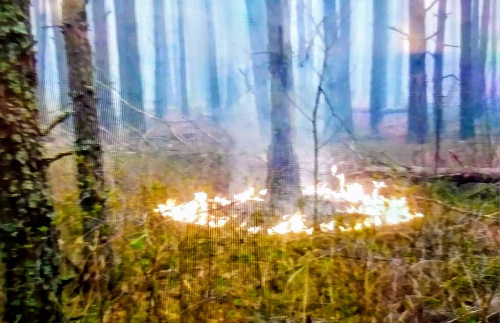 Аваков рассказал о поджогах в Чернобыльской зоне (ФОТО) 2