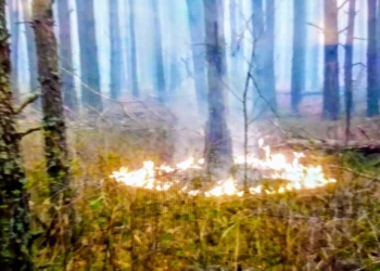 Аваков рассказал о поджогах в Чернобыльской зоне (ФОТО)