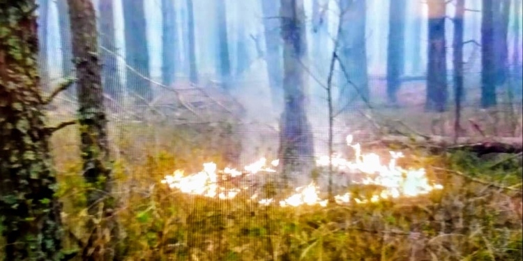 Аваков рассказал о поджогах в Чернобыльской зоне (ФОТО)