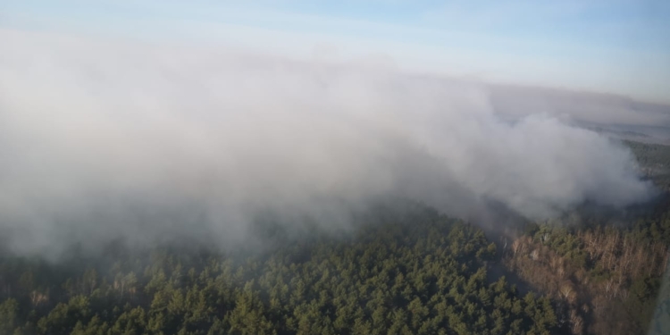 В Чернобыльской зоне продолжают тушить отдельные очаги возгораний лесного пожара