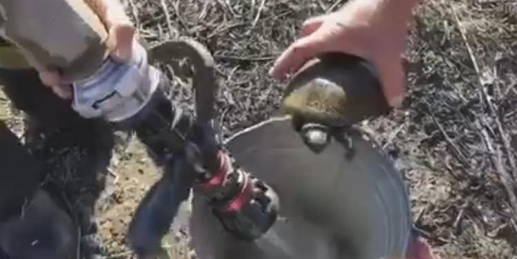 В Николаеве во время тушения камыша и сухостоя пожарные спасли черепаху (ВИДЕО)