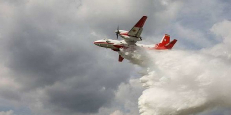 Пожар в Чернобыльской зоне: открытого огня уже нет, тушат тлеющие пни и древесину (ВИДЕО)