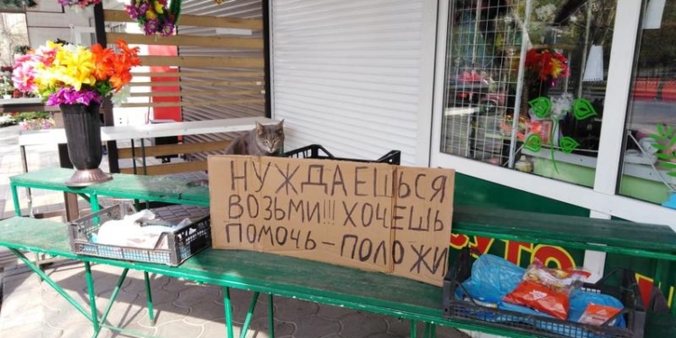 В Николаеве на цветочном рынке на 6-й Слободской появилась «Лавка добра», где можно оставить продукты для нуждающихся (ВИДЕО)