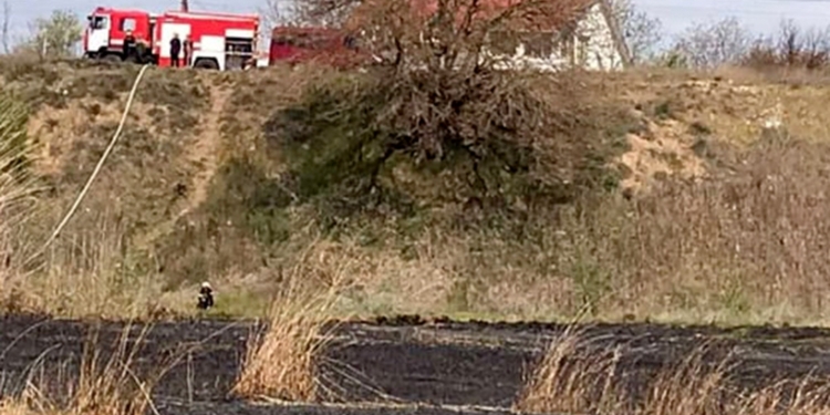 В Лиманах под Николаевом сгорело 4 га плавней – огонь чуть не перекинулся на дома (ФОТО)