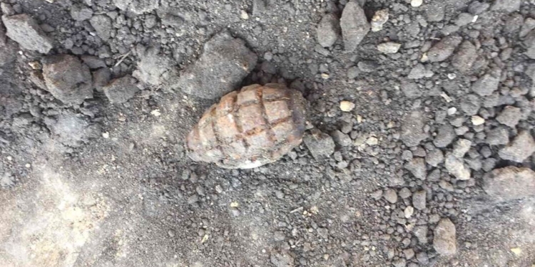 «Лимонка» на улице Каштановой в Николаеве (ФОТО)