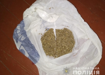 В Новобугском районе Николаевщины полиция изъяла более 0,5 кг марихуаны (ФОТО)
