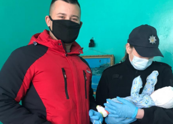 Под Херсоном нашли женщину, ушедшую в лес с новорожденным ребенком