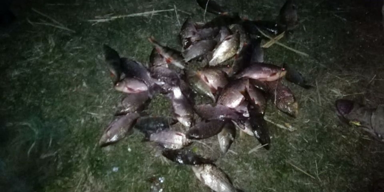 В первый же день нерестового запрета Николаевский рыбоохранный патруль поймал двух нарушителей (ФОТО)