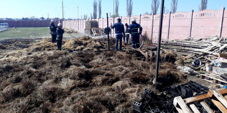 В Матвеевке сгорели 3 тонны сена (ФОТО)