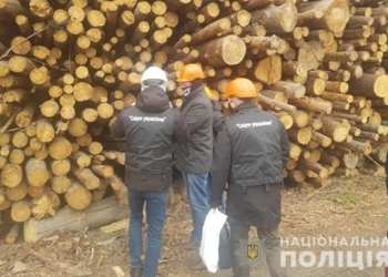 ТЭС под Киевом жгла радиоактивную древесину из Чернобыля