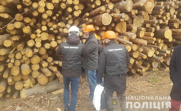 ТЭС под Киевом жгла радиоактивную древесину из Чернобыля