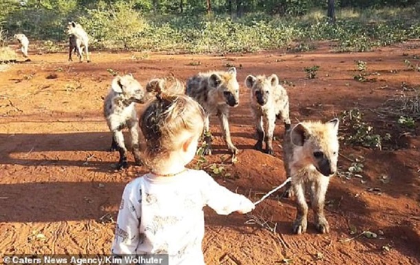 Двухлетняя девочка подружилась с гиенами (ФОТО) 5