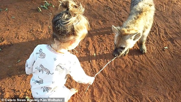 Двухлетняя девочка подружилась с гиенами (ФОТО) 3