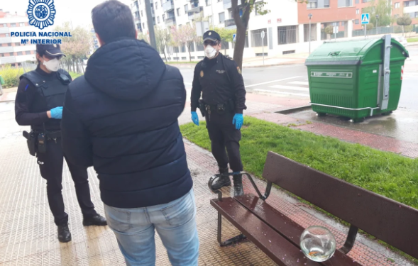 Испанец решил в карантин выгулять рыбку, но от ареста его это не спасло