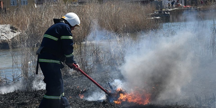 В Николаеве на Намыве горел камыш и автомобильные шины (ФОТО)