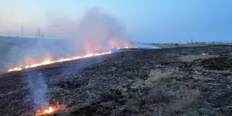 За Мешковкой тушили большой пожар на открытой территории (ФОТО)
