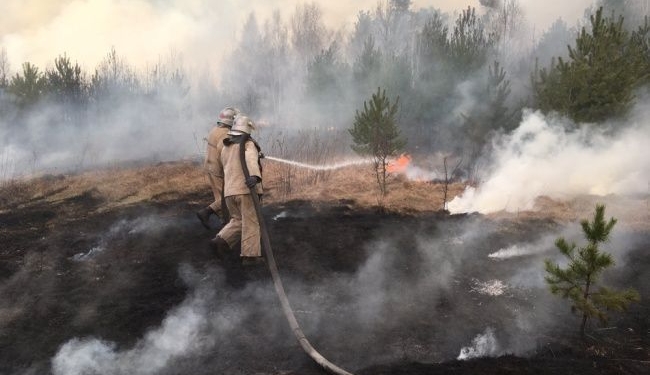 Радиационный фон в Киеве и Чернобыльской зоне находится в пределах нормы