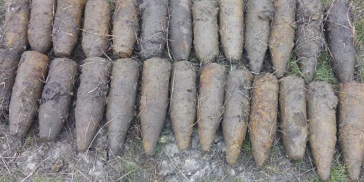 На Николаевщине обезвредили 28 взрывоопасных предметов (ФОТО)