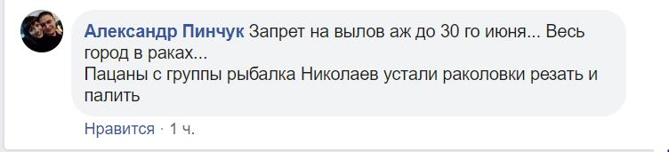 В Николаеве закрытые рынки перешли в онлайн и предлагают товары с доставкой (ФОТО) 38